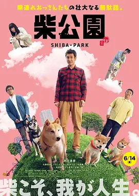 在公交车上h