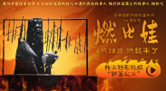 精品欧美在线
