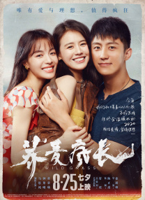 婷婷看片